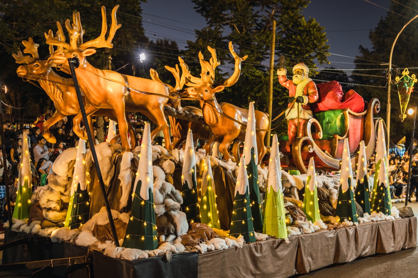 Alem volverá a brillar con la XXX edición de la Fiesta Nacional de la Navidad imagen-6