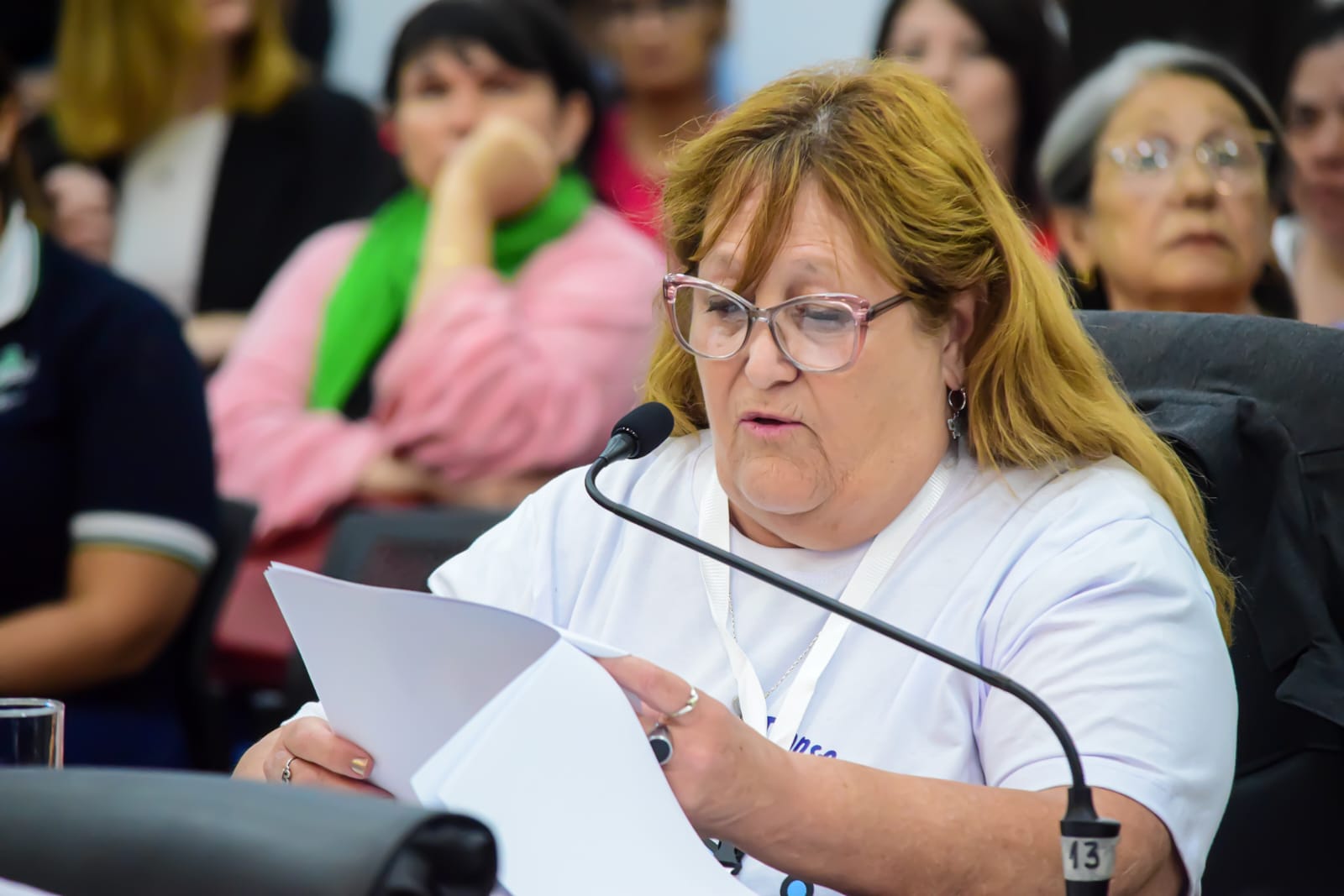 Equidad y participación ciudadana: se llevó adelante la 8va edición del Parlamento Municipal de Personas con Discapacidad 7 Equidad y participación ciudadana: se llevó adelante la 8va edición del Parlamento Municipal de Personas con Discapacidad imagen-6