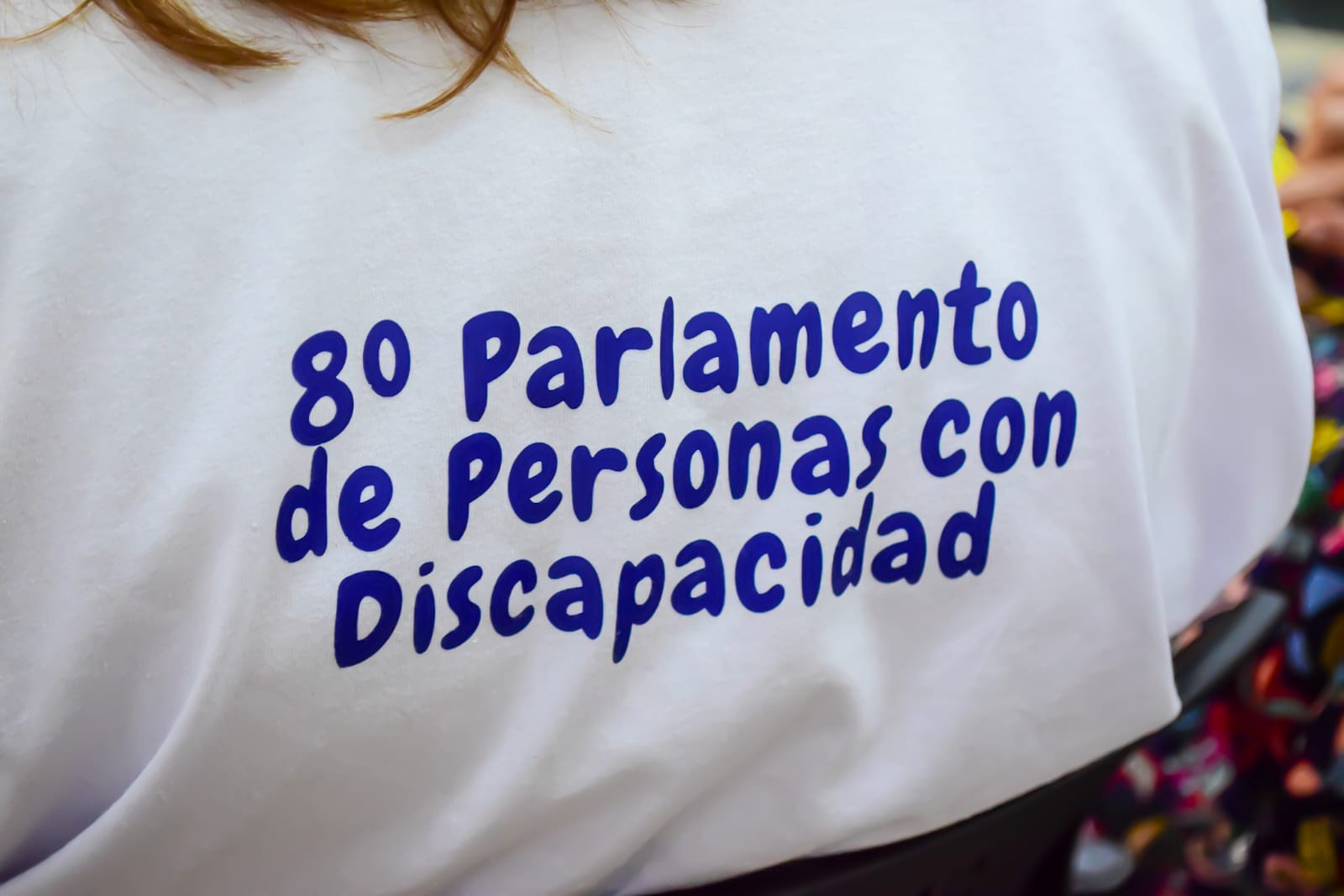 Equidad y participación ciudadana: se llevó adelante la 8va edición del Parlamento Municipal de Personas con Discapacidad 3 Equidad y participación ciudadana: se llevó adelante la 8va edición del Parlamento Municipal de Personas con Discapacidad imagen-2