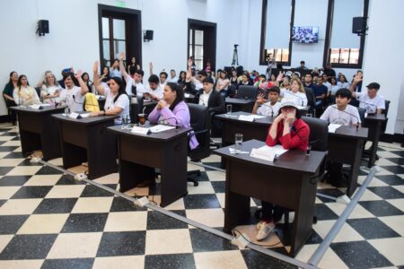 Equidad y participación ciudadana: se llevó adelante la 8va edición del Parlamento Municipal de Personas con Discapacidad imagen-3