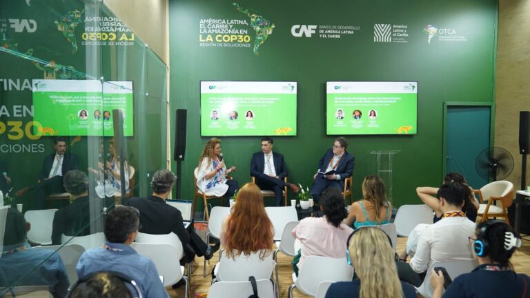 Misiones participa en la COP30 en un debate clave sobre financiamiento climático y conservación Misiones participa en la COP30 en un debate clave sobre financiamiento climático y conservación imagen-50