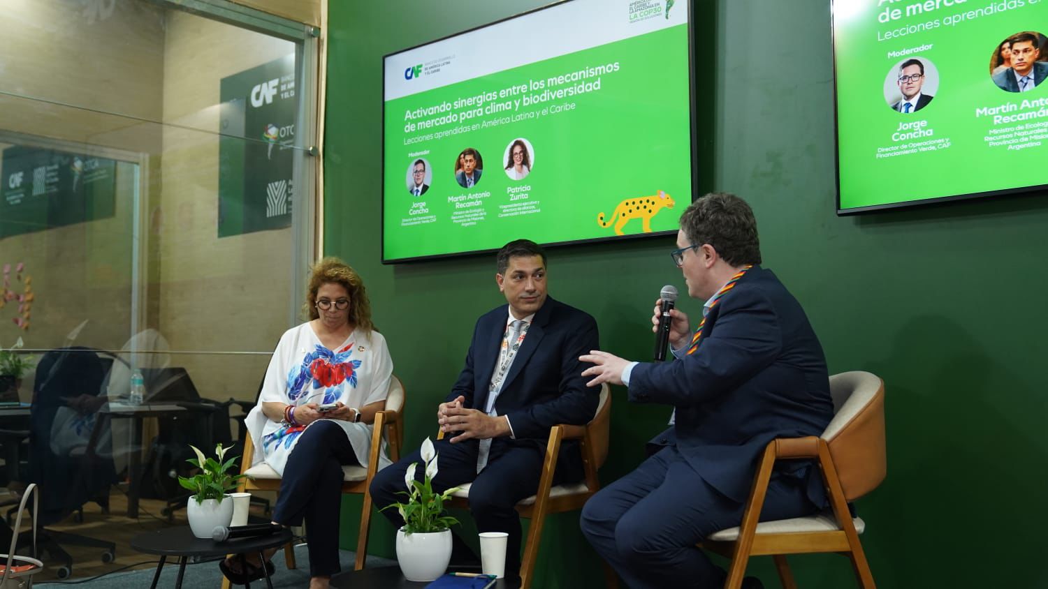 Misiones participa en la COP30 en un debate clave sobre financiamiento climático y conservación 9 Misiones participa en la COP30 en un debate clave sobre financiamiento climático y conservación imagen-8