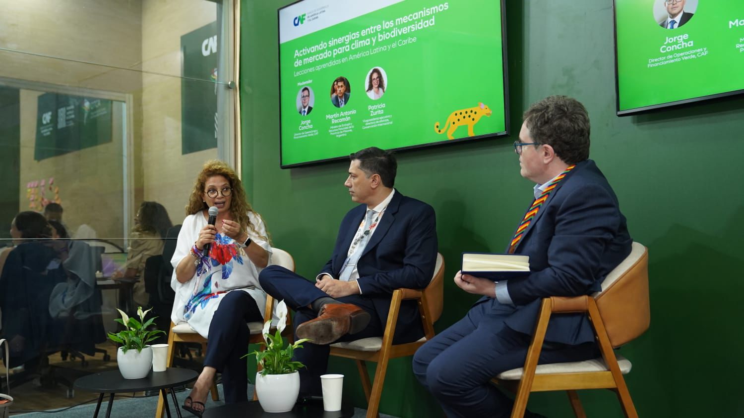 Misiones participa en la COP30 en un debate clave sobre financiamiento climático y conservación 11 Misiones participa en la COP30 en un debate clave sobre financiamiento climático y conservación imagen-10