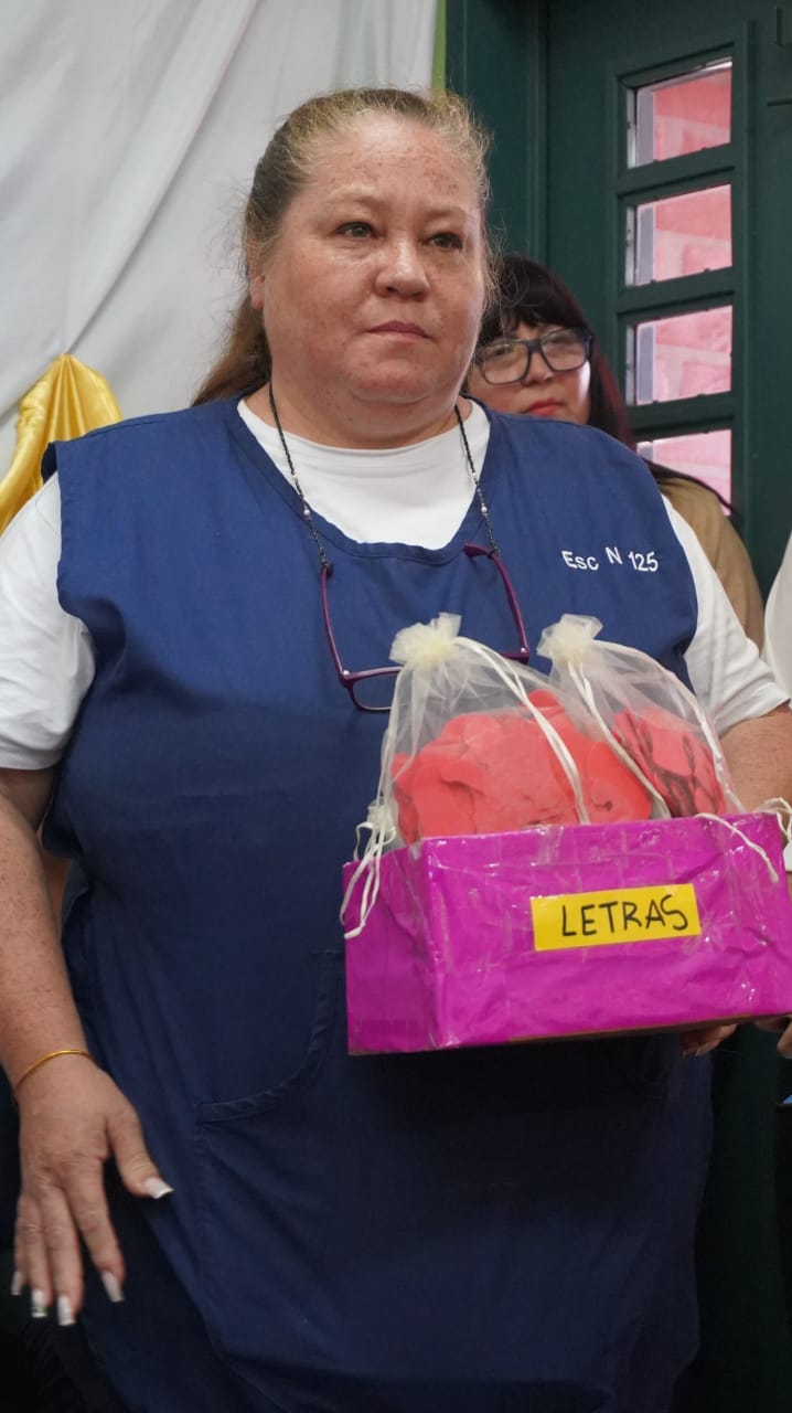 Misiones, destacada en la región por las acciones del Plan de Alfabetización imagen-6