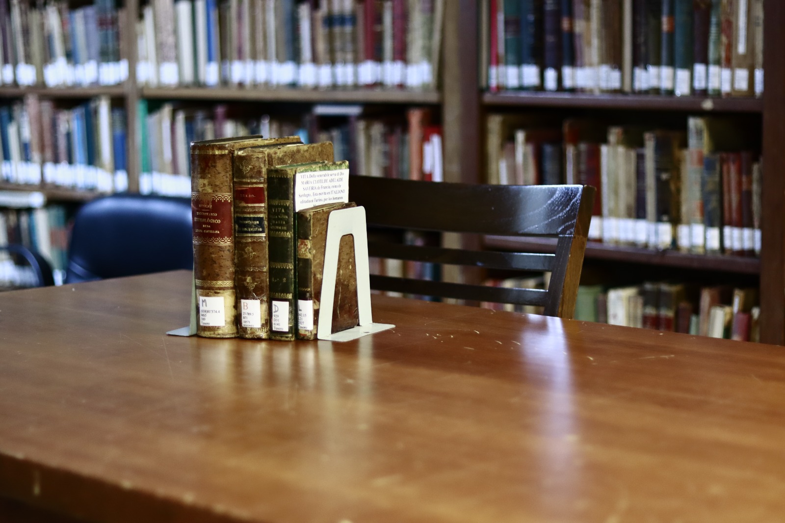 Biblioteca Popular Posadas: 112 años de un legado que sigue escribiéndose 9 Biblioteca Popular Posadas: 112 años de un legado que sigue escribiéndose imagen-8