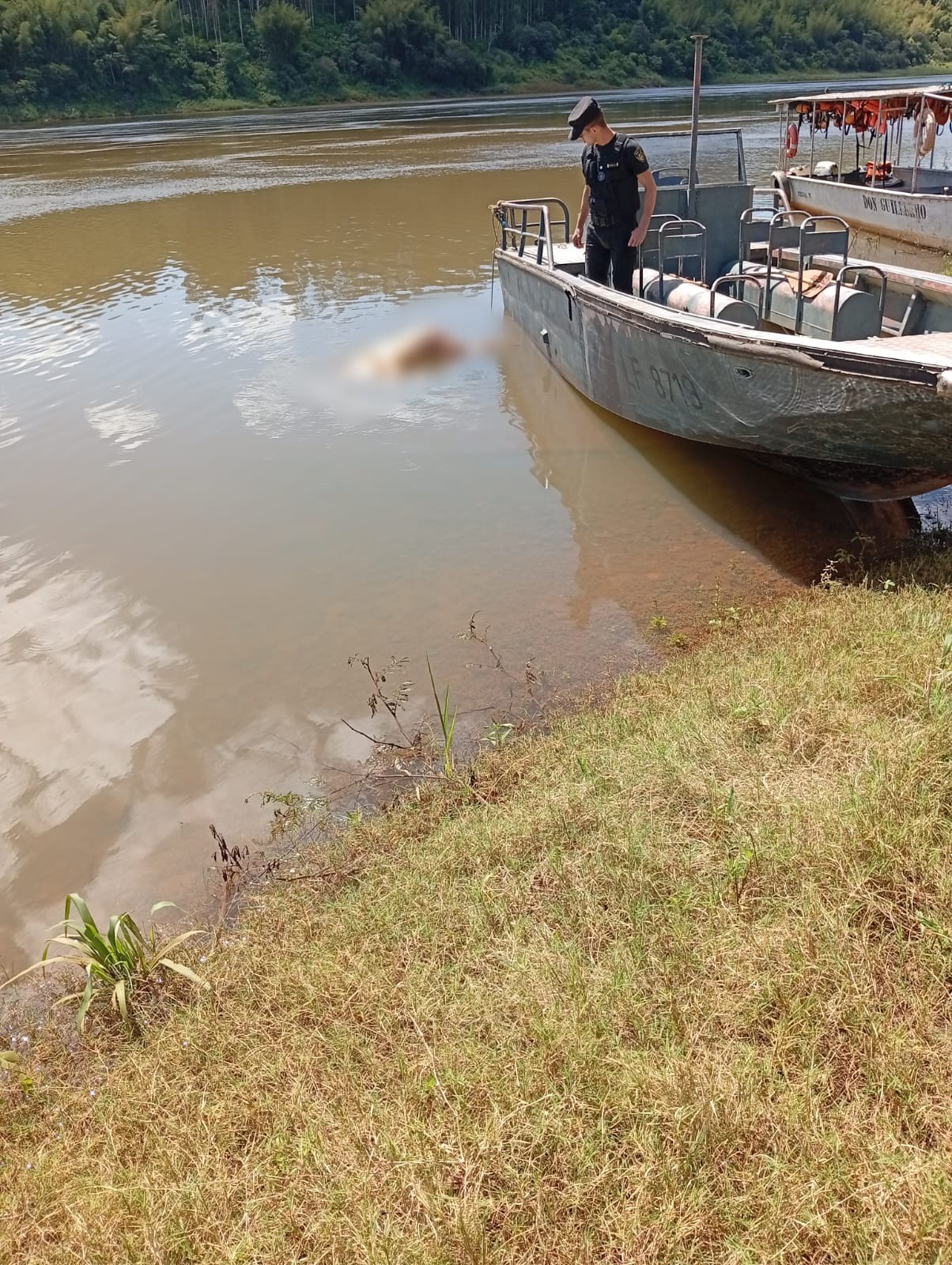 Hallaron en el río Paraná un cadáver con una bolsa en la cabeza y realizan compulsas sobre recientes desaparecidos con Brasil y Paraguay 3 Hallaron en el río Paraná un cadáver con una bolsa en la cabeza y realizan compulsas sobre recientes desaparecidos con Brasil y Paraguay imagen-2