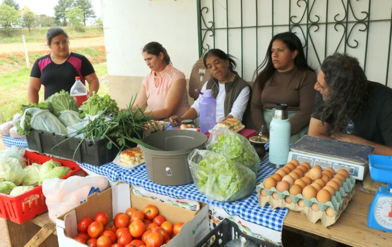 Bernardo de Irigoyen: Recuperan CIC de Vista Alegre y lo transforman en espacio de producción y capacitación comunitaria imagen-34