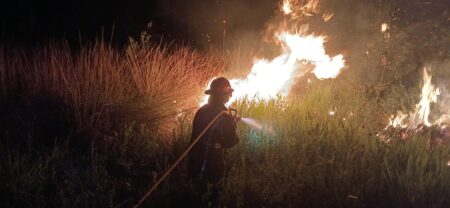 Bomberos contuvieron un incendio de malezas que amenazaba viviendas y una escuela en Santa Ana imagen-8