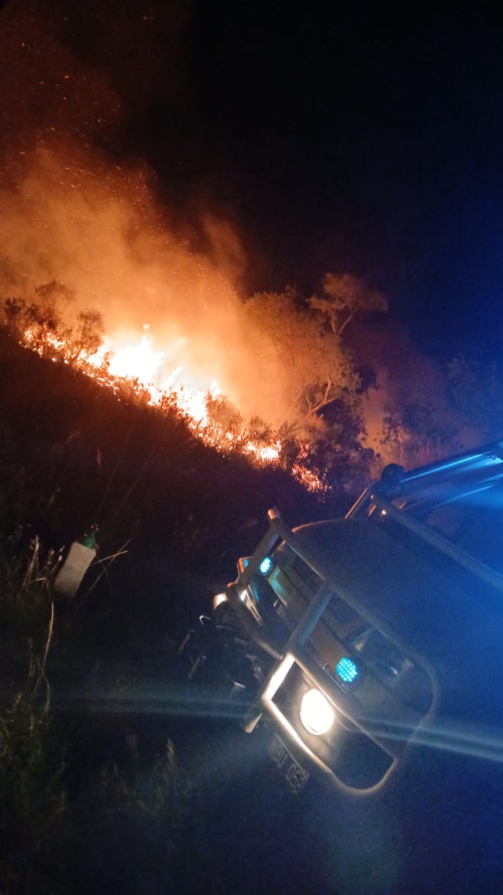 Bomberos contuvieron un incendio de malezas que amenazaba viviendas y una escuela en Santa Ana 3 Bomberos contuvieron un incendio de malezas que amenazaba viviendas y una escuela en Santa Ana imagen-2