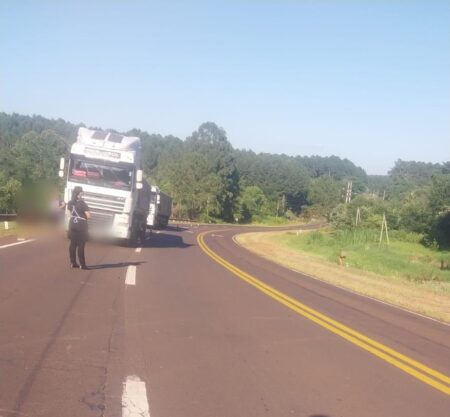 Camión cargado con madera quedó varado en la Ruta 12 por un desperfecto mecánico imagen-10