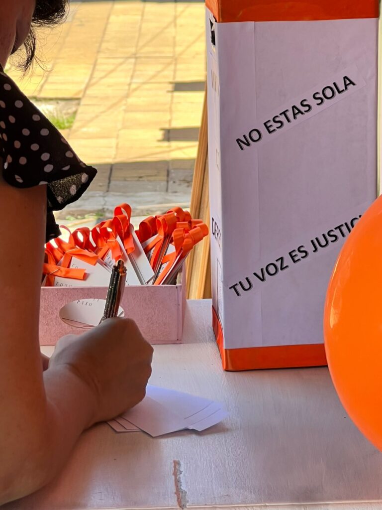 En Misiones, el Observatorio de Violencia Familiar y de Género registró en 2024 más de 81 denuncias por día imagen-9