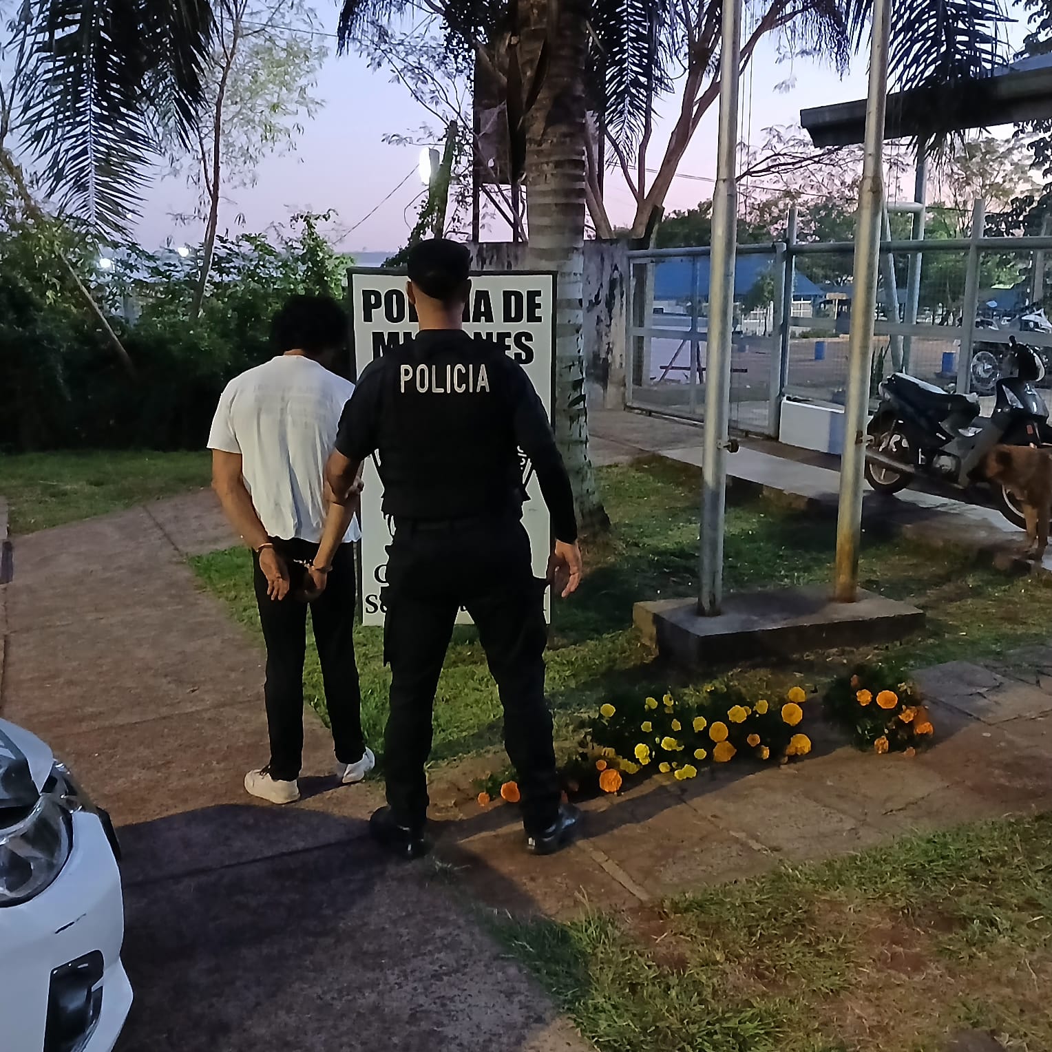 La tecnología del 911 dejó en evidencia a un hombre cuando robaba plantines florales en la Costanera 3 La tecnología del 911 dejó en evidencia a un hombre cuando robaba plantines florales en la Costanera imagen-2