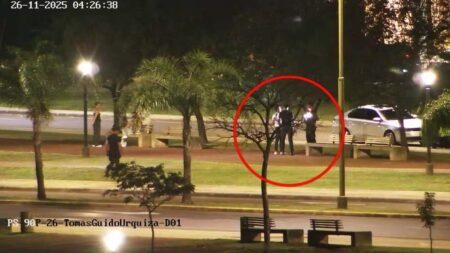 La tecnología del 911 dejó en evidencia a un hombre cuando robaba plantines florales en la Costanera imagen-4