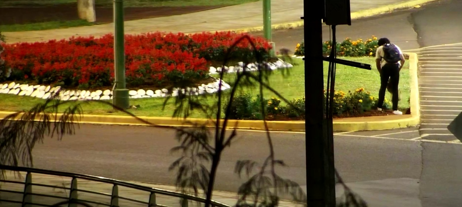 La tecnología del 911 dejó en evidencia a un hombre cuando robaba plantines florales en la Costanera 7 La tecnología del 911 dejó en evidencia a un hombre cuando robaba plantines florales en la Costanera imagen-6