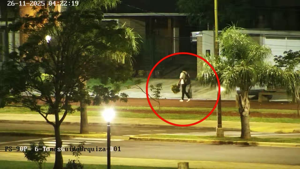 La tecnología del 911 dejó en evidencia a un hombre cuando robaba plantines florales en la Costanera 5 La tecnología del 911 dejó en evidencia a un hombre cuando robaba plantines florales en la Costanera imagen-4
