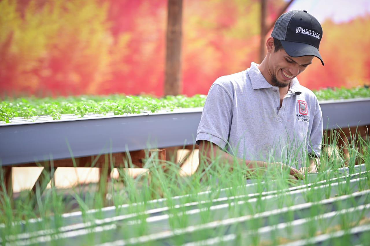 Inauguran en Eldorado un nuevo centro tecnológico para impulsar el desarrollo de la producción local 13 Inauguran en Eldorado un nuevo centro tecnológico para impulsar el desarrollo de la producción local imagen-12