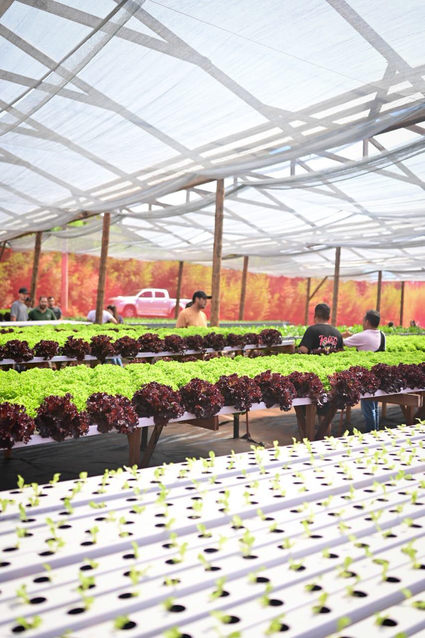 Inauguran en Eldorado un nuevo centro tecnológico para impulsar el desarrollo de la producción local 11 Inauguran en Eldorado un nuevo centro tecnológico para impulsar el desarrollo de la producción local imagen-10