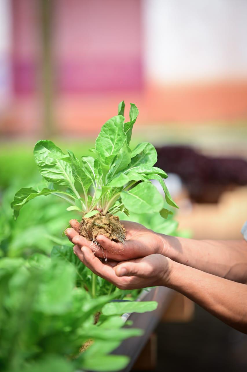 Inauguran en Eldorado un nuevo centro tecnológico para impulsar el desarrollo de la producción local 15 Inauguran en Eldorado un nuevo centro tecnológico para impulsar el desarrollo de la producción local imagen-14