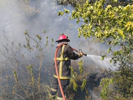 Incendio en la costanera de Puerto Rico afectó media hectárea de malezas Incendio en la costanera de Puerto Rico afectó media hectárea de malezas imagen-9