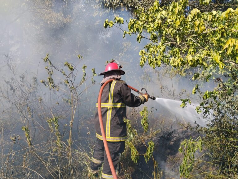 Incendio en la costanera de Puerto Rico afectó media hectárea de malezas imagen-19
