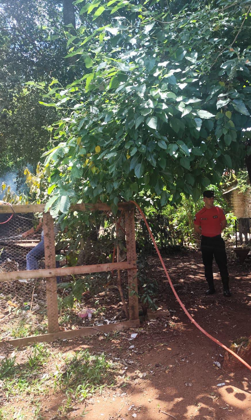 La Policía ya notificó a los primeros infractores por quemas prohibidas en Misiones 3 La Policía ya notificó a los primeros infractores por quemas prohibidas en Misiones imagen-2