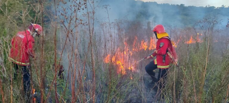 Incendio de malezas en Santa Ana afectó cinco hectáreas imagen-26