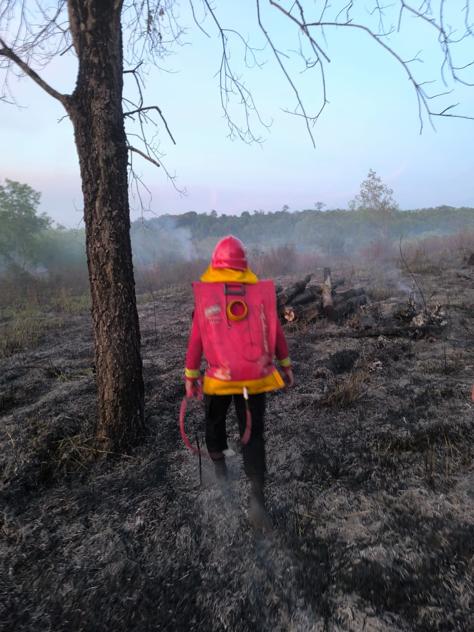 Incendio de malezas en Santa Ana afectó cinco hectáreas 5 Incendio de malezas en Santa Ana afectó cinco hectáreas imagen-4