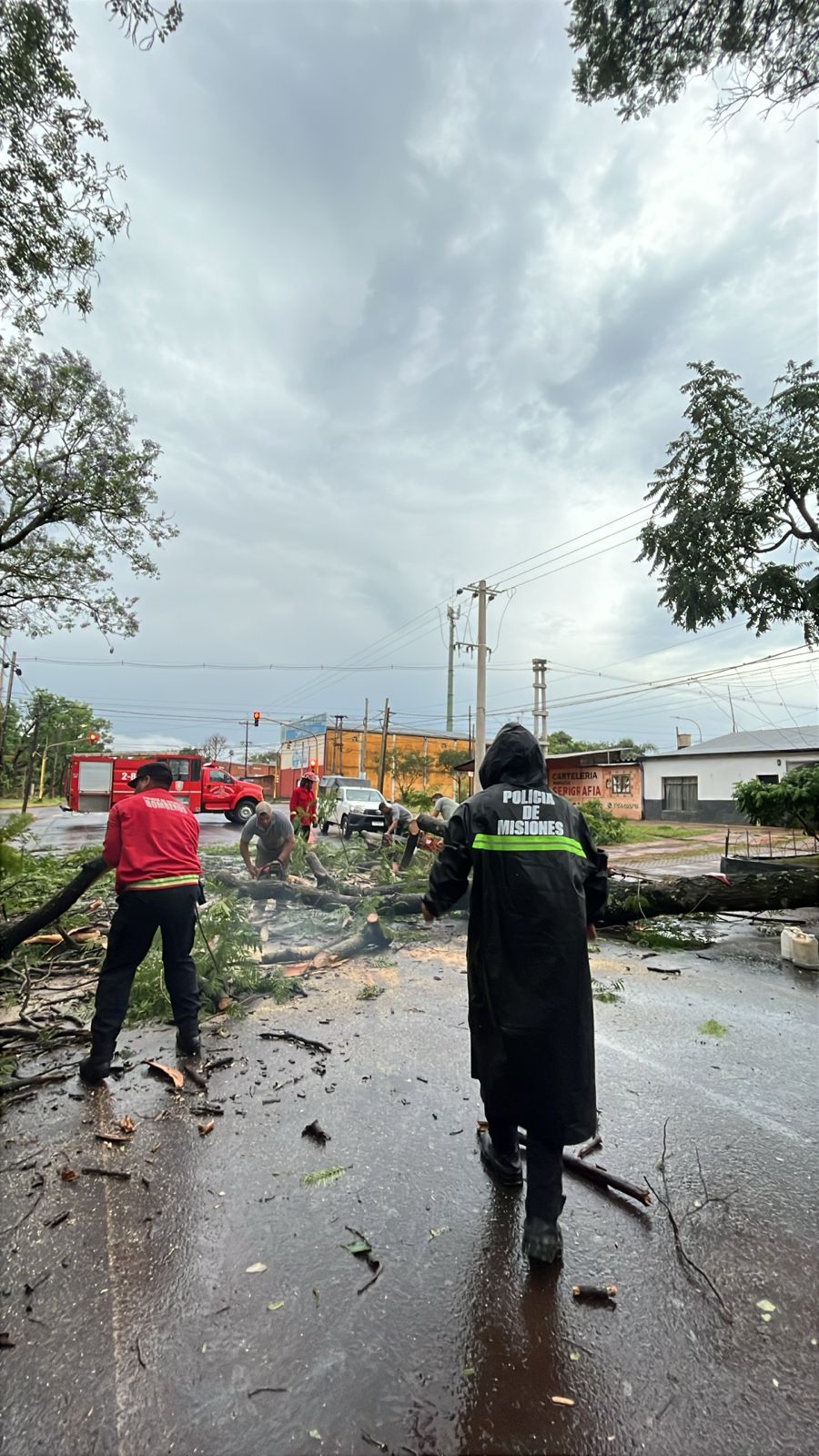 El temporal provocó daños en distintos puntos de Posadas imagen-2