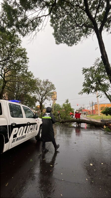Ráfagas superiores a 80 km/h provocaron voladuras de techos y caída de árboles: Defensa Civil detalló el operativo tras el temporal en Posadas imagen-2