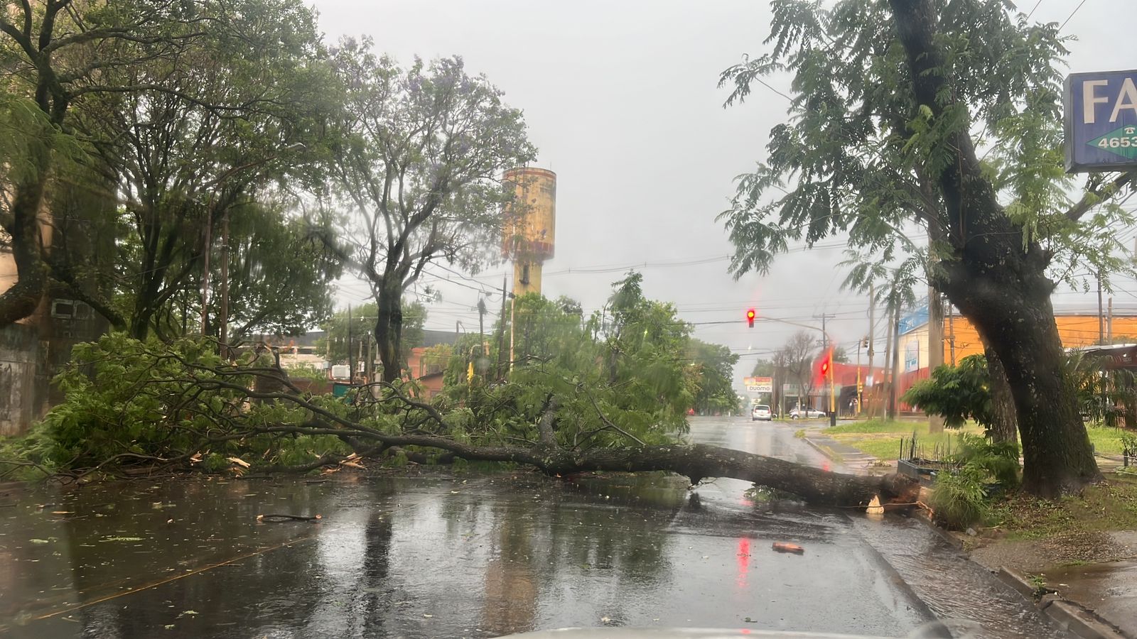 El temporal provocó daños en distintos puntos de Posadas imagen-6