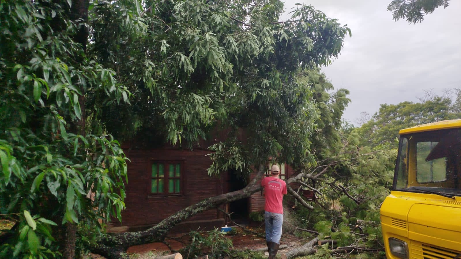 El temporal provocó daños en distintos puntos de Posadas imagen-10