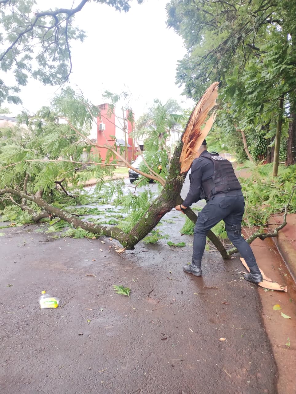 El temporal provocó daños en distintos puntos de Posadas imagen-18