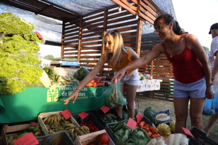 Almafuerte: La Fiesta de las Frutas Tropicales reunió a productores, familias y autoridades en un predio colmado de actividades y recorridos Almafuerte: La Fiesta de las Frutas Tropicales reunió a productores, familias y autoridades en un predio colmado de actividades y recorridos imagen-2