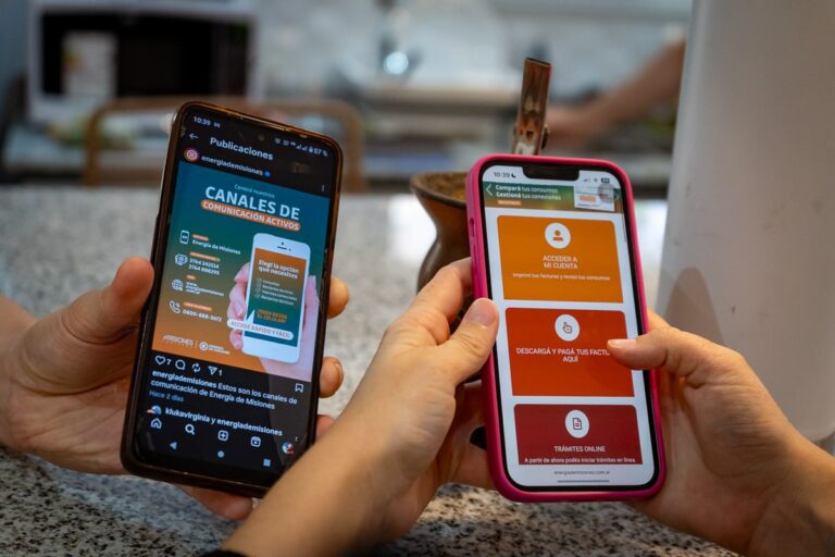Adiós al papel: más de 200 mil usuarios ya usan los canales digitales de Energía de Misiones imagen-14