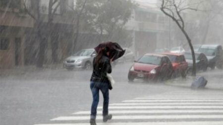 Ráfagas de casi 100 km/h y más de 25 mm de lluvia definieron una jornada dominical de inestabilidad en Posadas imagen-5