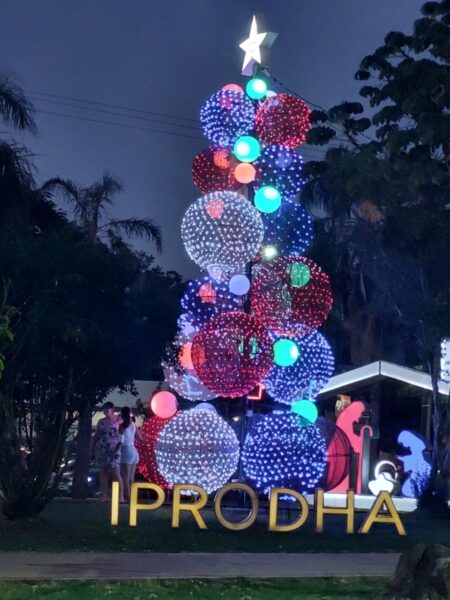 Lanzaron un concurso de árboles navideños en Posadas 3 Lanzaron un concurso de árboles navideños en Posadas imagen-2