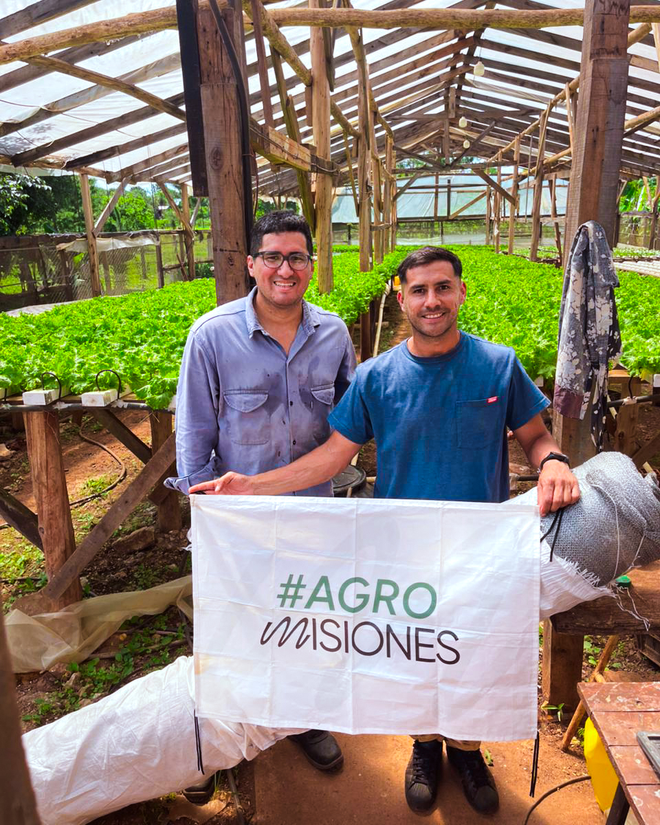 Misiones fortalece la producción frutihortícola con microcréditos accesibles para modernizar la infraestructura productiva 3 Misiones fortalece la producción frutihortícola con microcréditos accesibles para modernizar la infraestructura productiva imagen-2