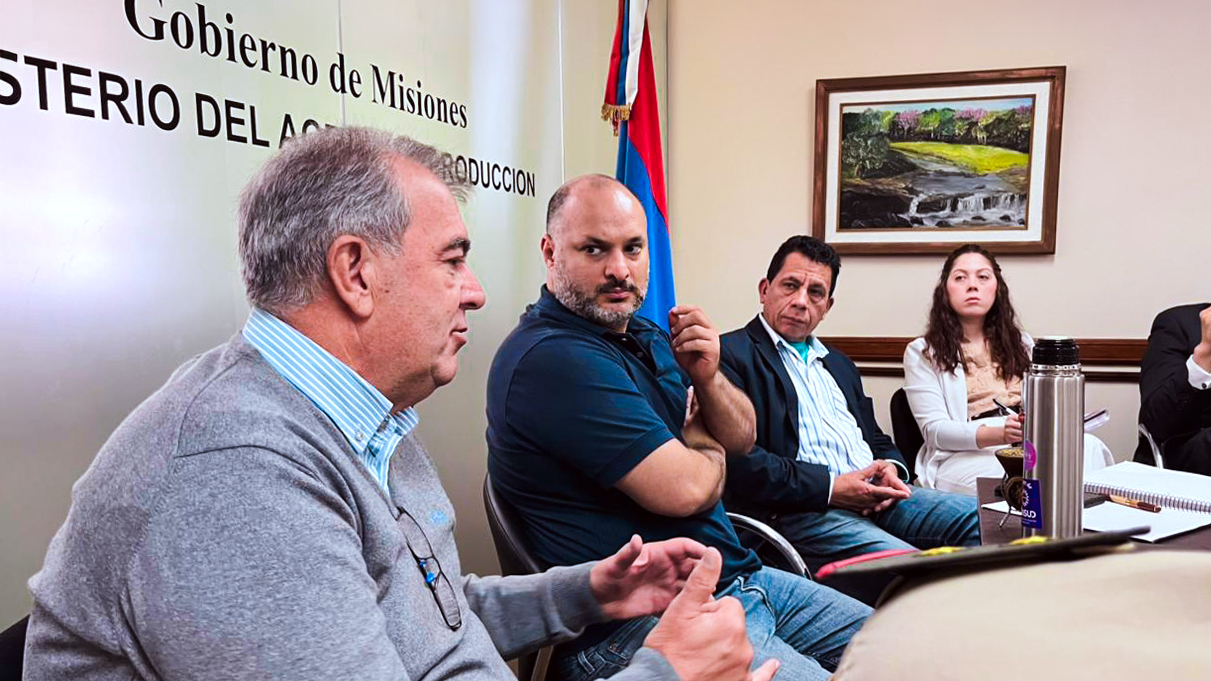 Contrabando de tabaco en la frontera norte: en la última campaña se produjo una fuga superior al 53% de la cosecha provincial 7 Contrabando de tabaco en la frontera norte: en la última campaña se produjo una fuga superior al 53% de la cosecha provincial imagen-6