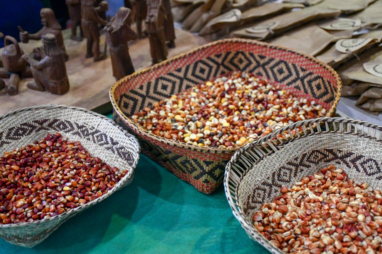 Proyecto trinacional "Raíces" inicia acciones en Misiones que refuerzan la cooperación regional y el compromiso con sistemas alimentarios resilientes 7 Proyecto trinacional "Raíces" inicia acciones en Misiones que refuerzan la cooperación regional y el compromiso con sistemas alimentarios resilientes imagen-6