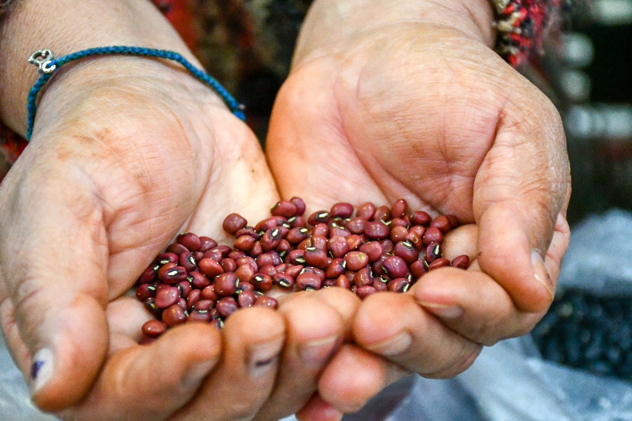 Proyecto trinacional "Raíces" inicia acciones en Misiones que refuerzan la cooperación regional y el compromiso con sistemas alimentarios resilientes 5 Proyecto trinacional "Raíces" inicia acciones en Misiones que refuerzan la cooperación regional y el compromiso con sistemas alimentarios resilientes imagen-4