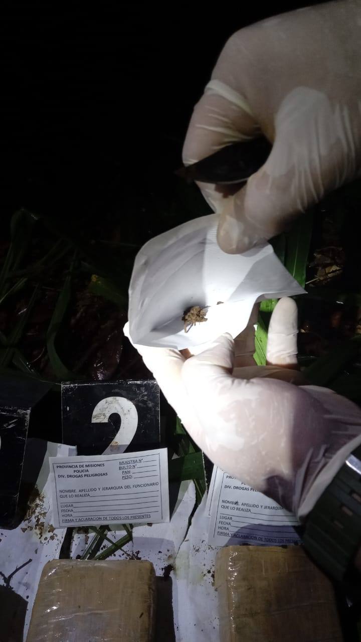 La Policía rastrillaba una zona de monte y halló un refugio clandestino con droga y objetos robados imagen-4