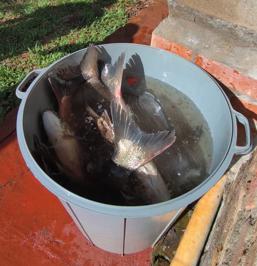 Piscicultura, turismo y producción: acompañamiento para avanzar en reglamentación de Ley de Faena Artesanal 17 Piscicultura, turismo y producción: acompañamiento para avanzar en reglamentación de Ley de Faena Artesanal imagen-16