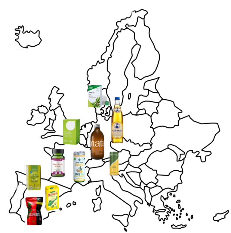 Destacan a Europa como un mercado clave para la exportación de yerba mate argentina Destacan a Europa como un mercado clave para la exportación de yerba mate argentina imagen-15