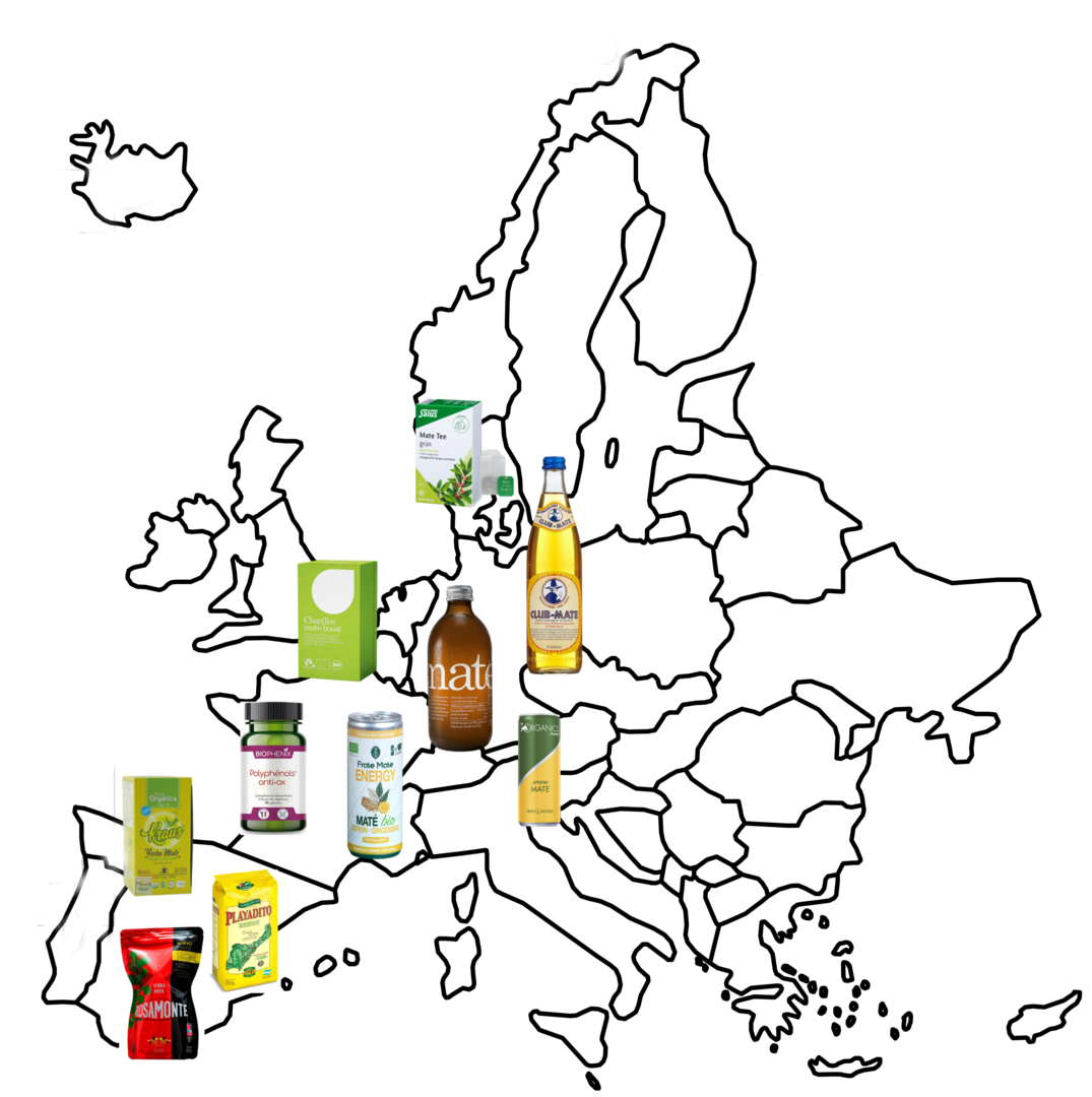 Destacan a Europa como un mercado clave para la exportación de yerba mate argentina imagen-10