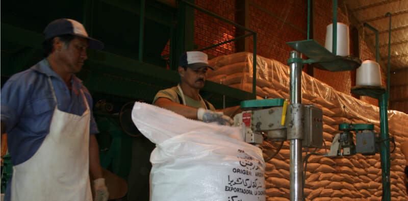 Yerba Mate: las exportaciones siguen marcando un récord histórico y el mercado interno continúa en franca recuperación imagen-14