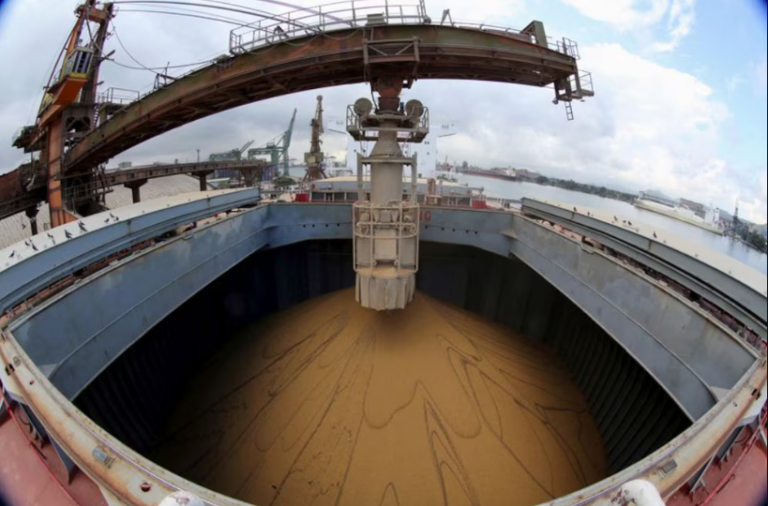 El Gobierno anunció una nueva baja de retenciones a las exportaciones de granos imagen-45