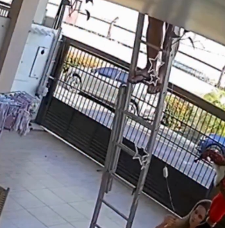 Un accidente doméstico quedó registrado por una cámara y terminó en una secuencia inesperada Un accidente doméstico quedó registrado por una cámara y terminó en una secuencia inesperada imagen-38