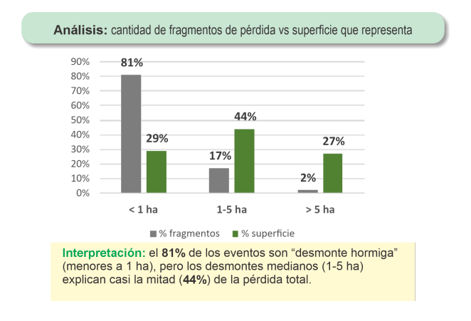 Misiones presentó avances en el monitoreo y la gestión de los bosques nativos y confirmó una reducción sostenida de la deforestación imagen-4