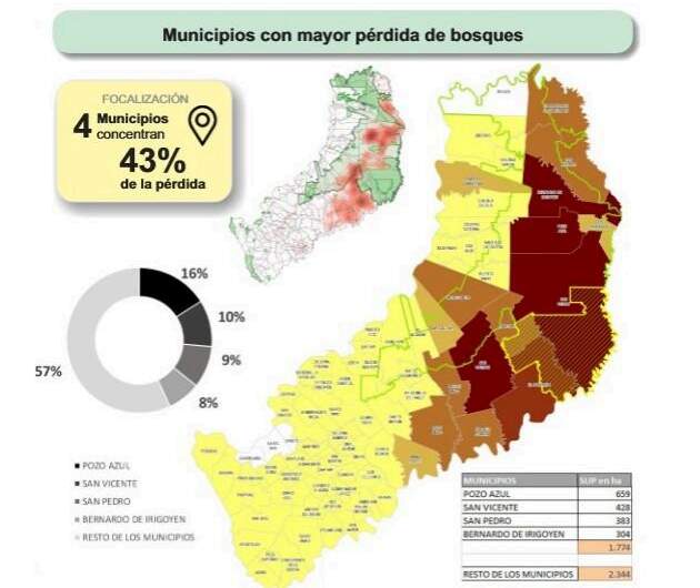 Misiones presentó avances en el monitoreo y la gestión de los bosques nativos y confirmó una reducción sostenida de la deforestación imagen-12