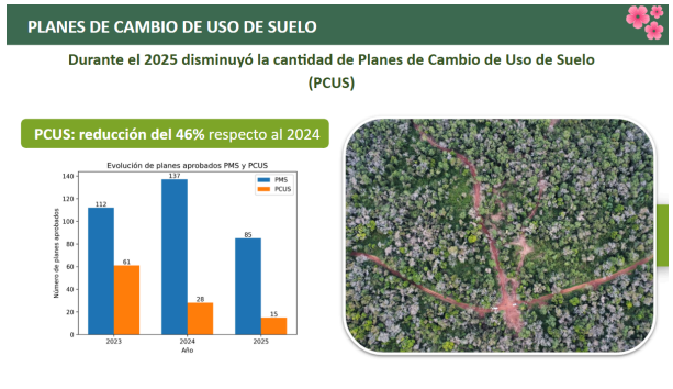 Misiones presentó avances en el monitoreo y la gestión de los bosques nativos y confirmó una reducción sostenida de la deforestación imagen-6